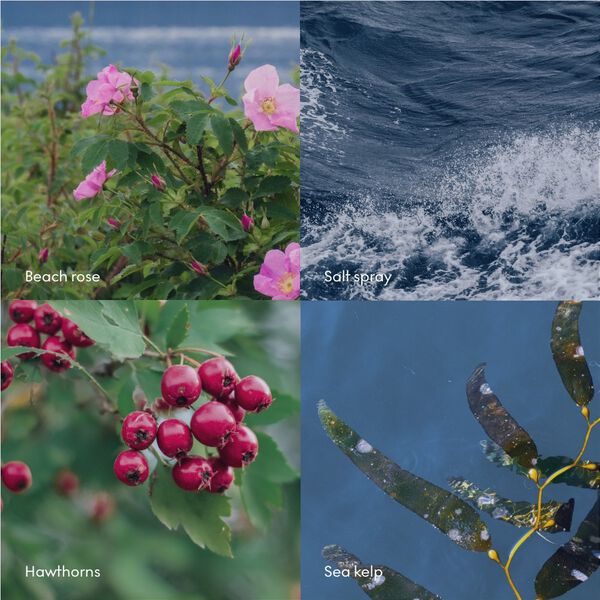 HAV Wash Refill 1000ml