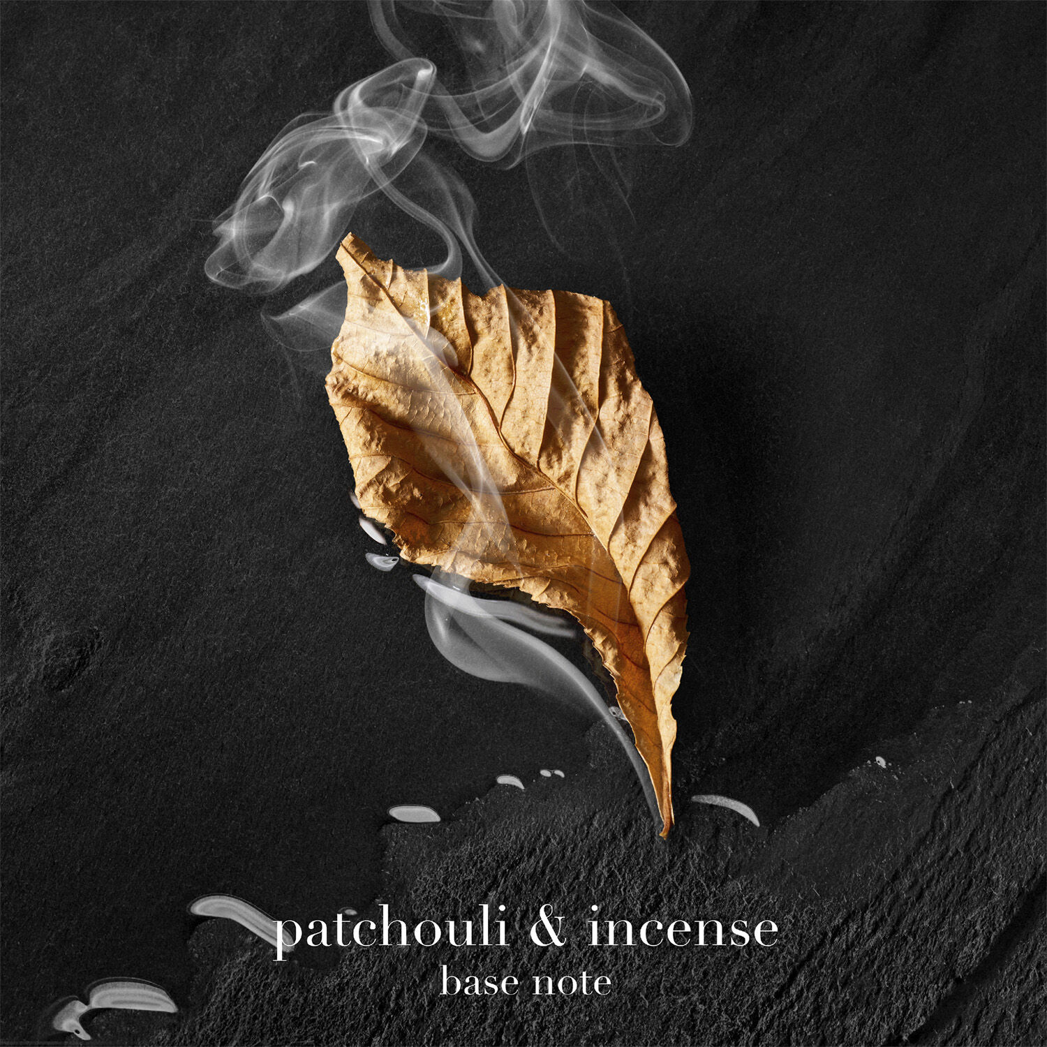 Acqua di Gi&ograve; Parfum