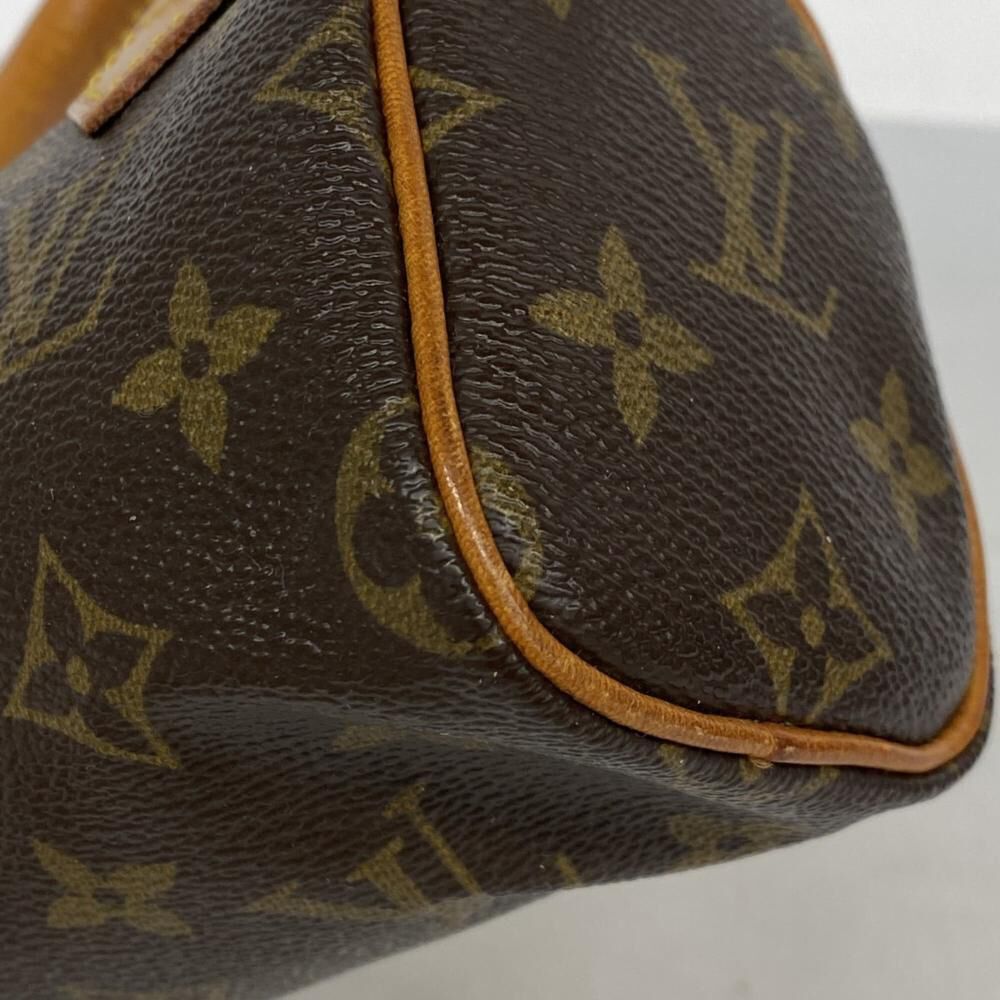 Louis Vuitton Speedy