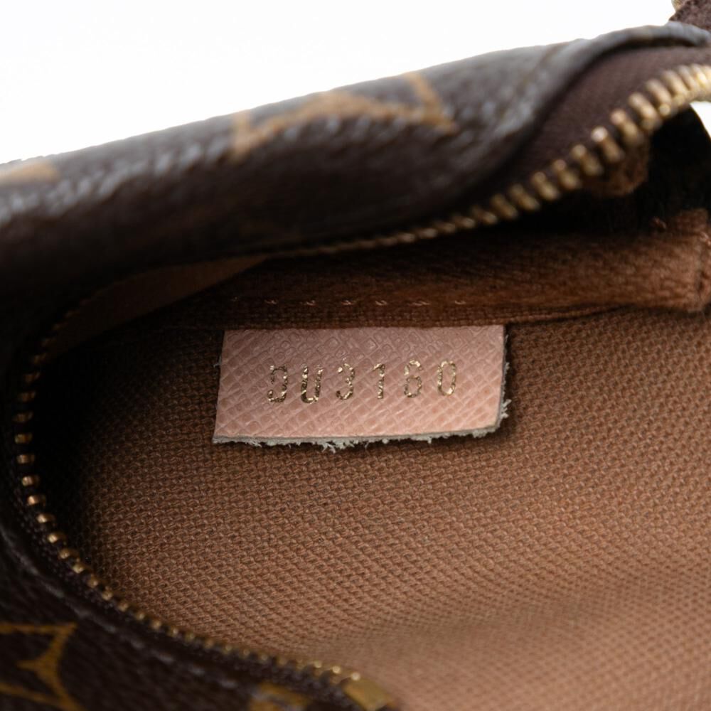 Louis Vuitton Pochette Accessoires