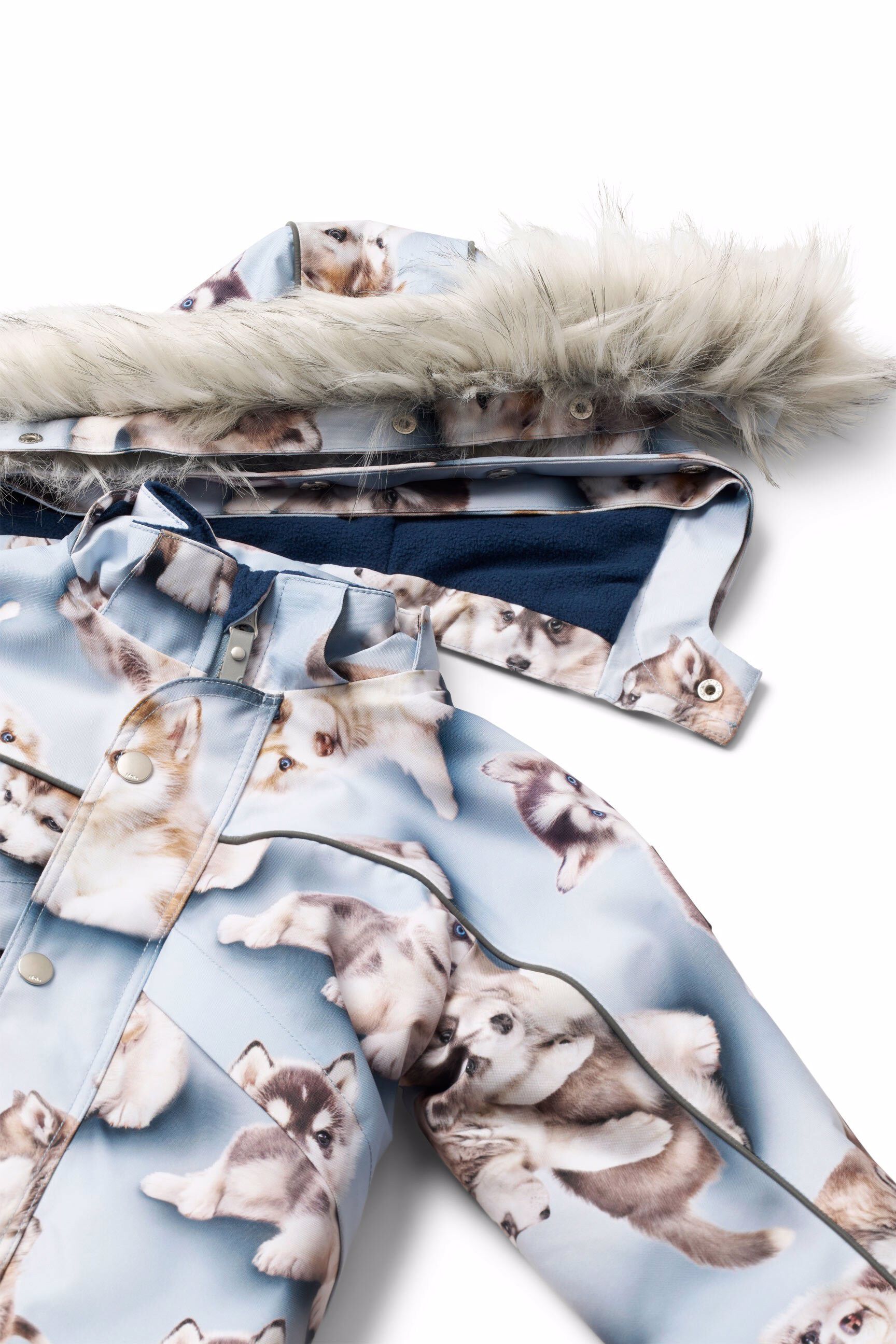 Polaris Fur