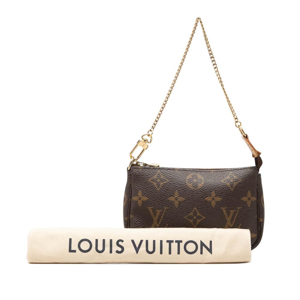 Louis Vuitton Pochette Accessoires