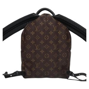 Louis Vuitton Palm Springs