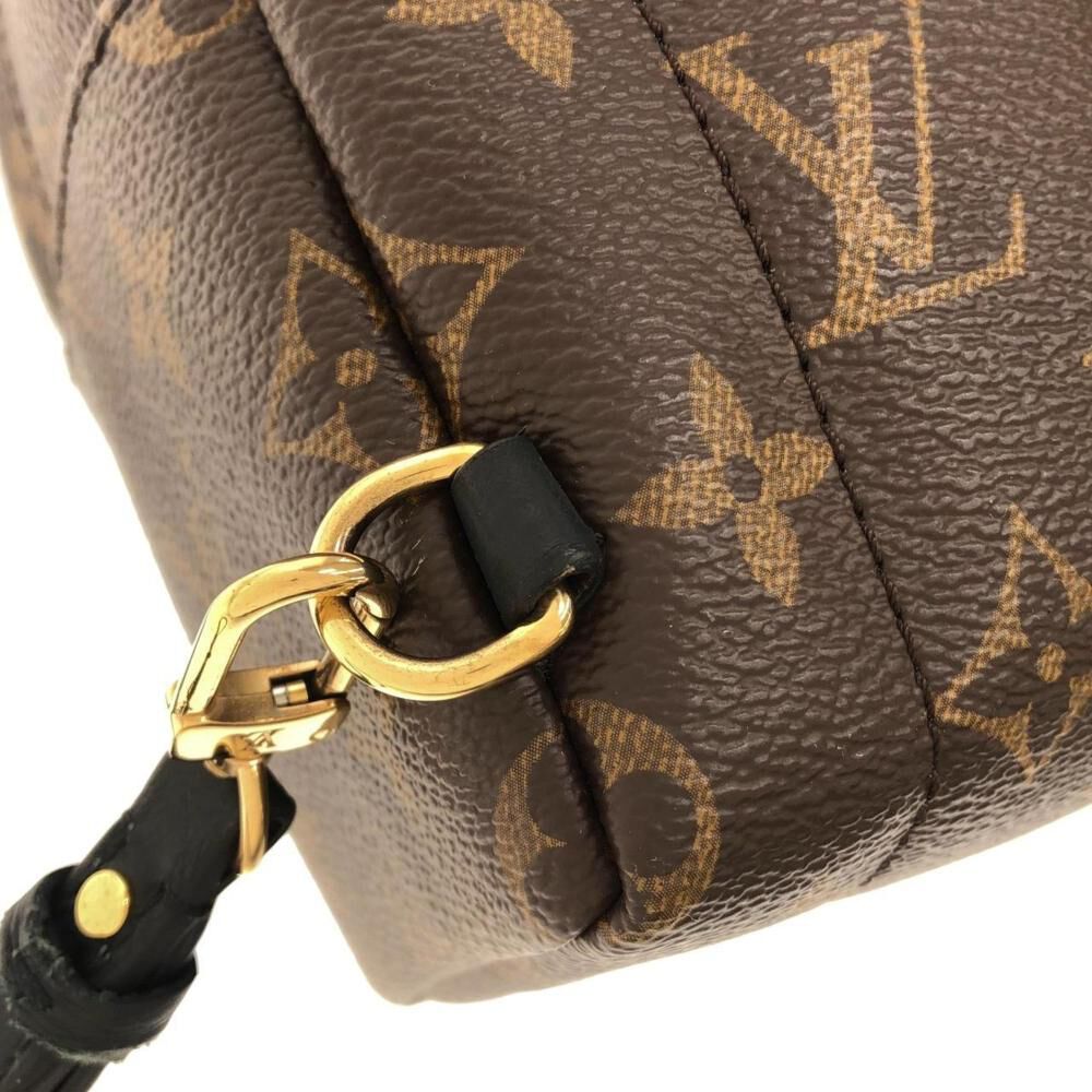 Louis Vuitton Palm Springs