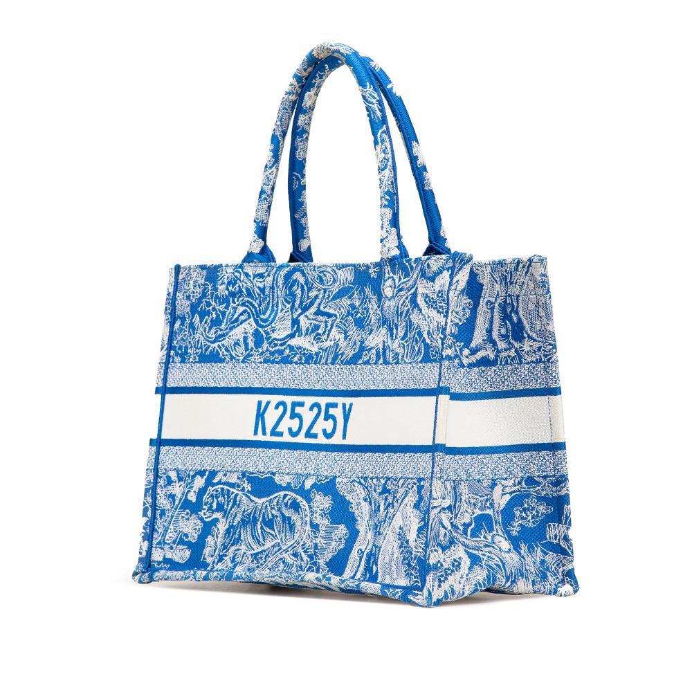 Dior Book Tote