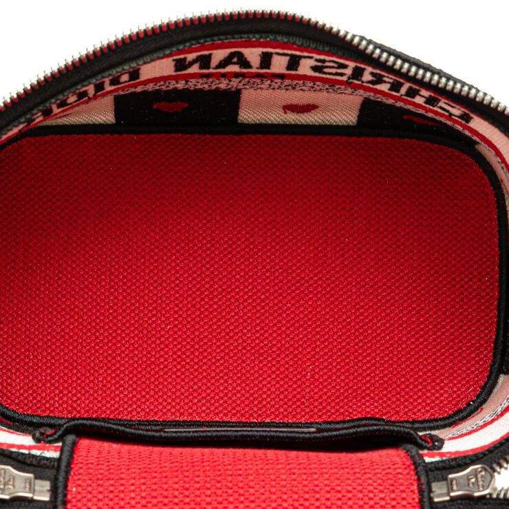 Dior Vanity Bag
