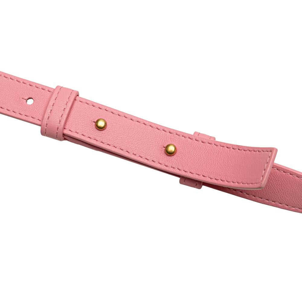 Bottega Veneta Cassette Bag