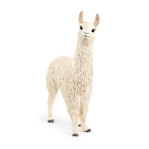 Sch Llama