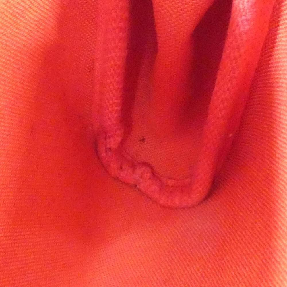 Louis Vuitton Eva
