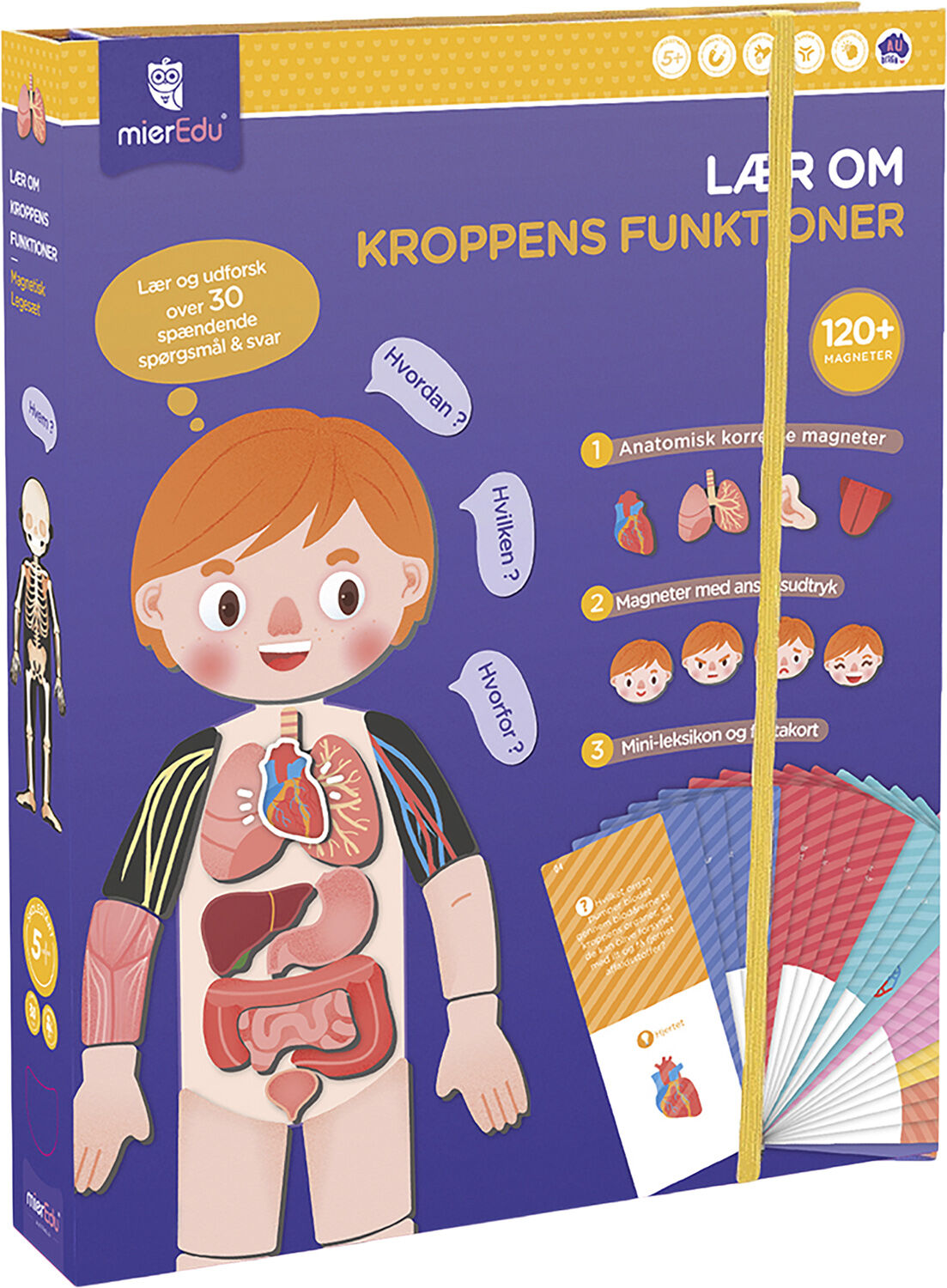 mierEdu - Magnetisk leges&aelig;t - L&aelig;r om kroppens funktioner