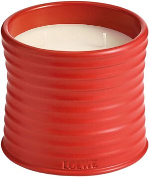 LOEWE Medium Tomato Cand