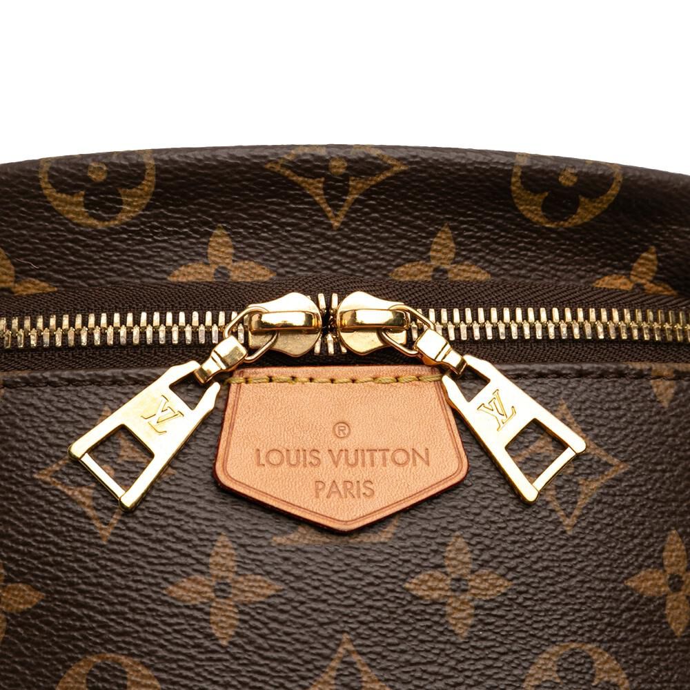 Louis Vuitton Bumbag