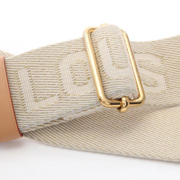 Louis Vuitton Crossbody Bag