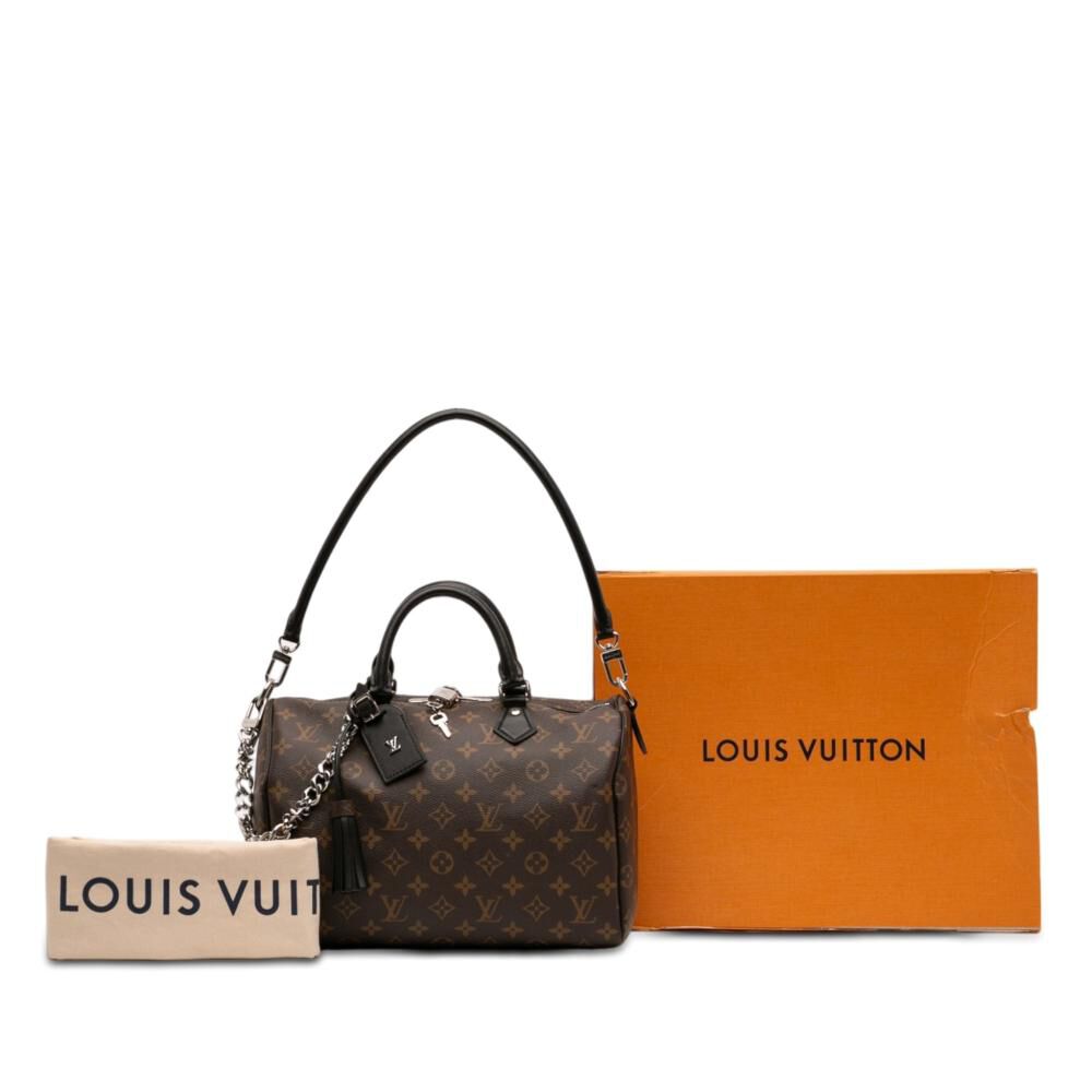 Louis Vuitton Speedy