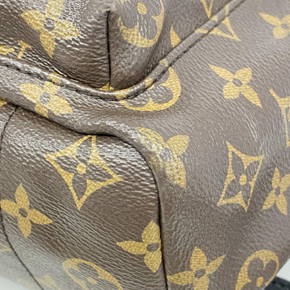 Louis Vuitton Palm Springs