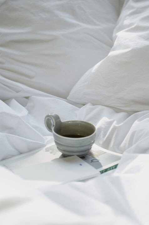 Fossflakes Winter Täcke