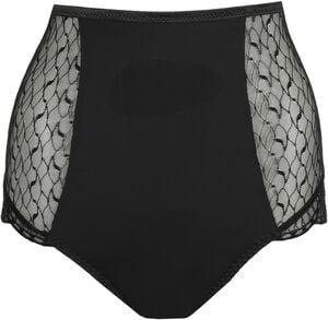 Naica special briefs