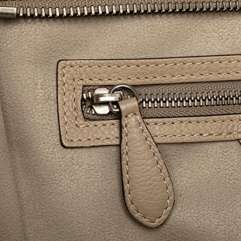 Celine Luggage