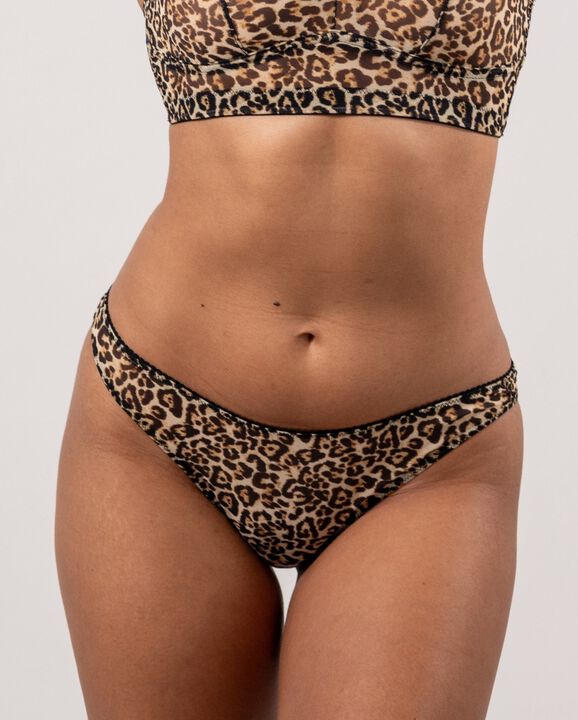 Mesh Bikini Briefs