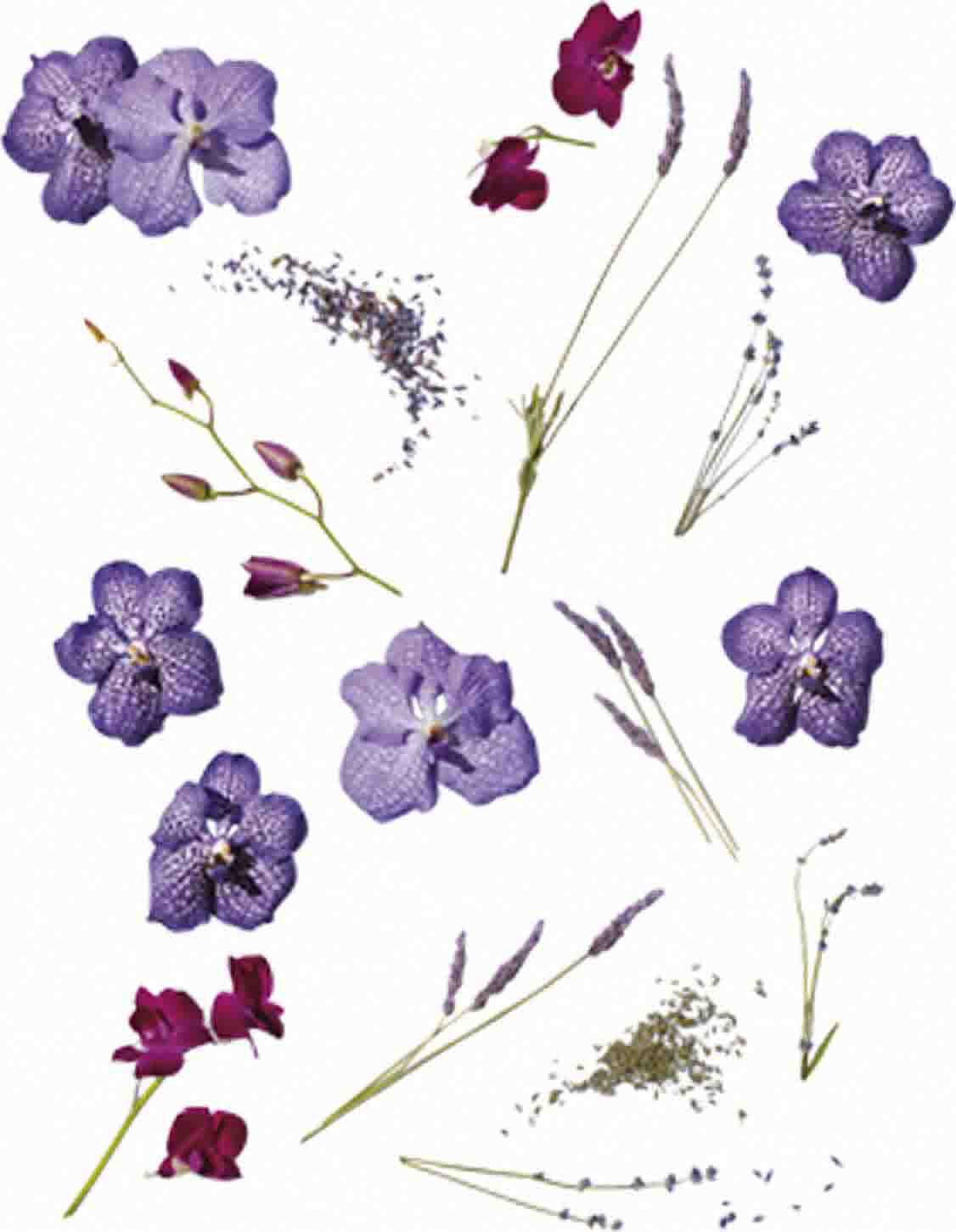 TRANSFORM Wrinkle Blur Bacuchiol Eye Gel Creme 18 ML