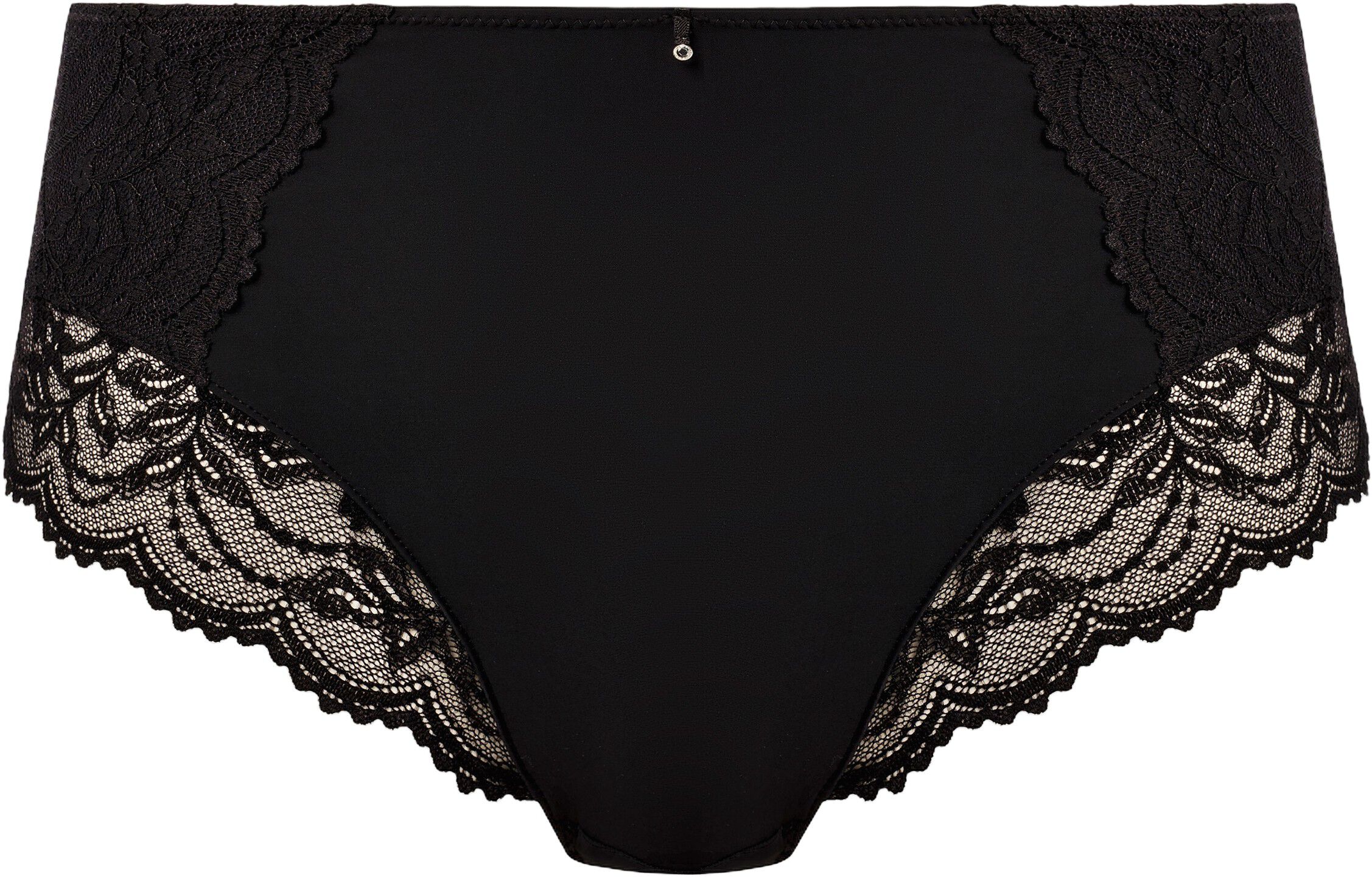 CESILE FULL BRIEF