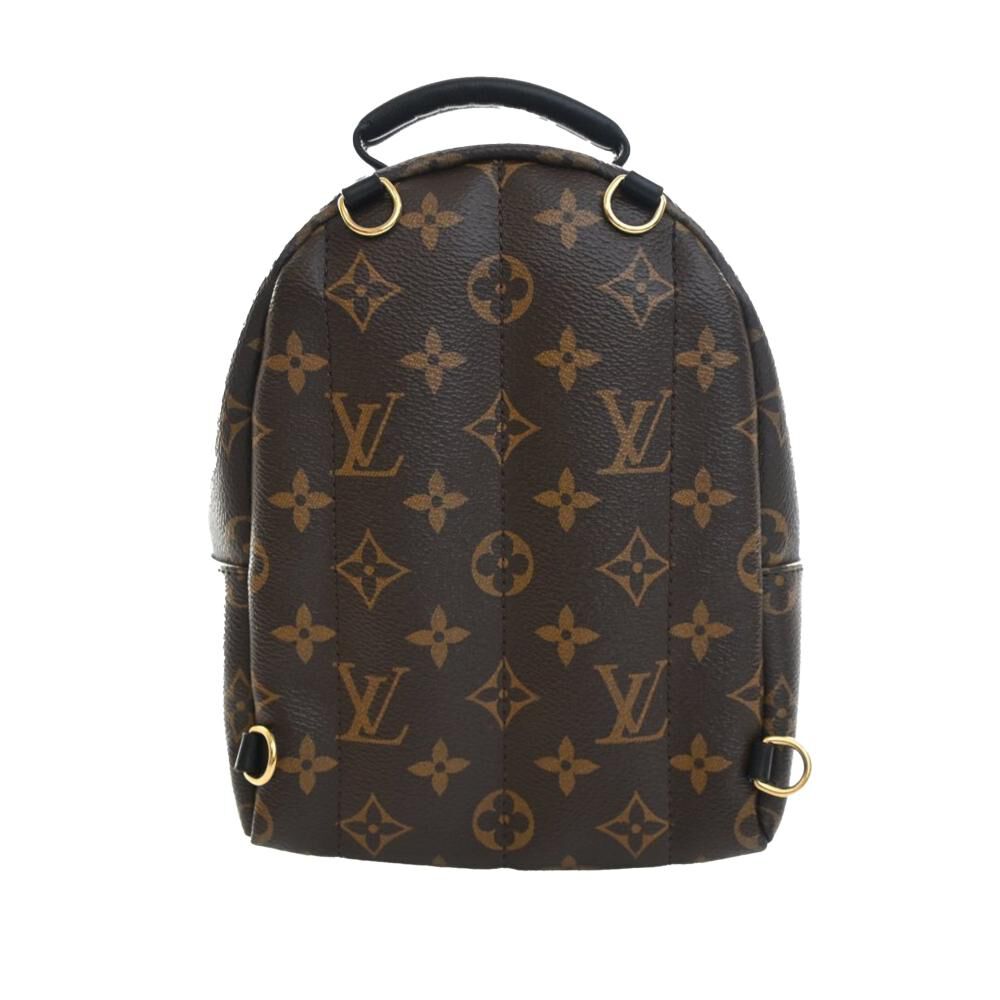 Louis Vuitton Palm Springs