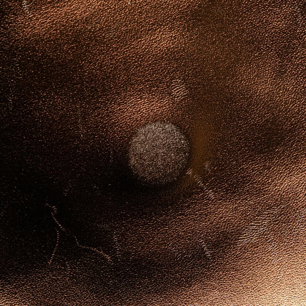 Chanel Crossbody Bag