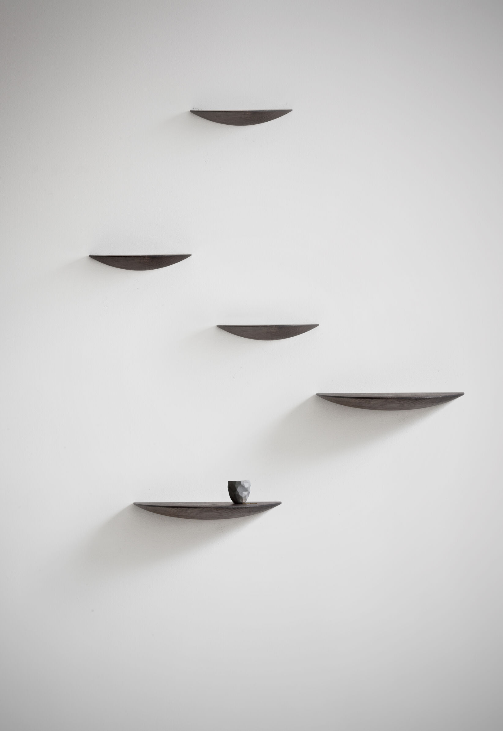 Gridy Fungi Shelf, Small, Black Oak