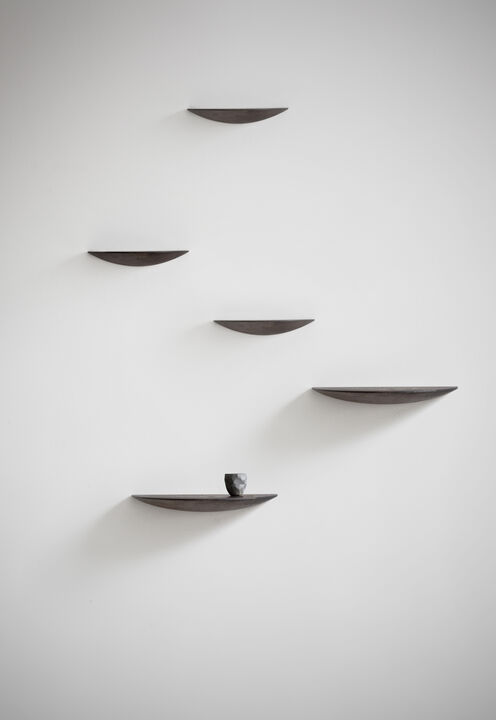 Gridy Fungi Shelf, Small, Black Oak