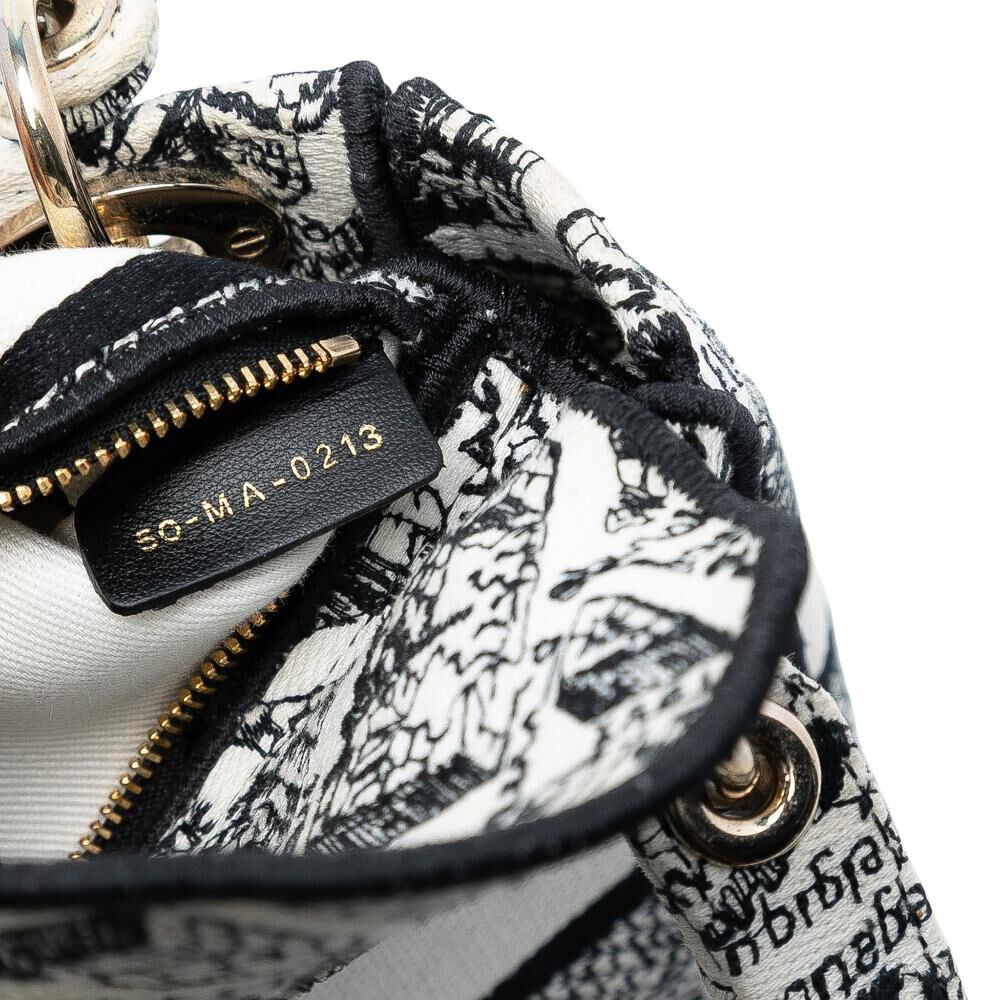 Dior Lady Dior