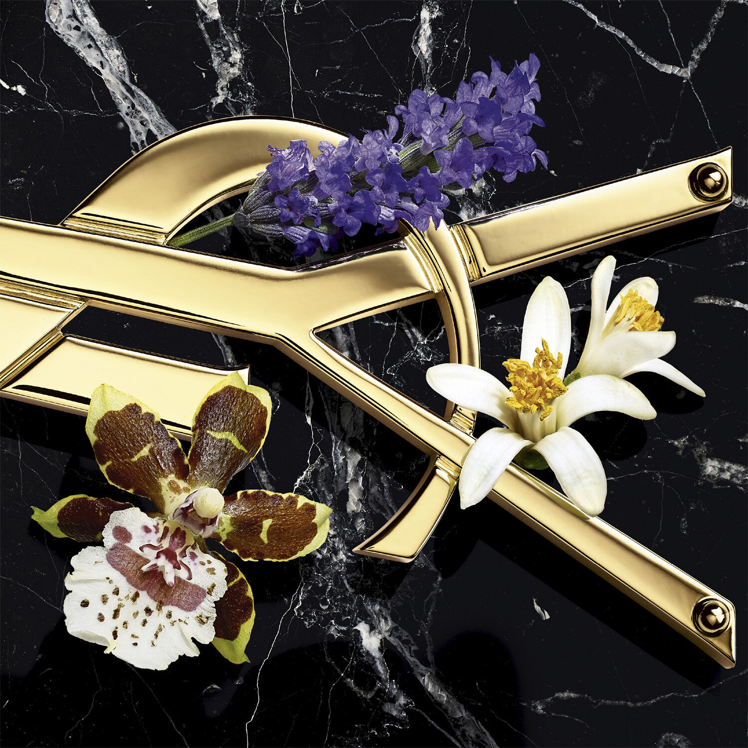 Yves Saint Laurent Libre Eau De Parfum Intense