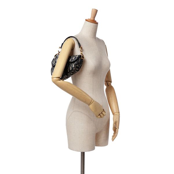 Dior Saddle Bag