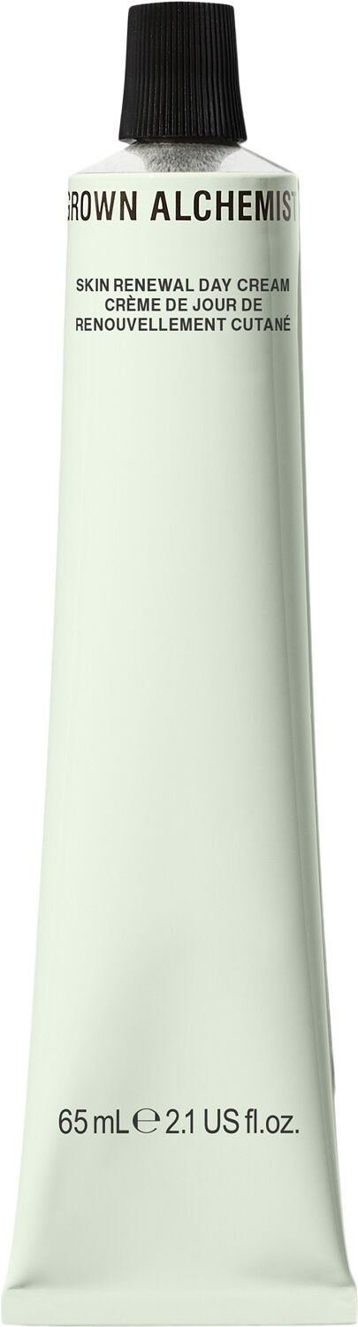 Skin Renewal Day Cream