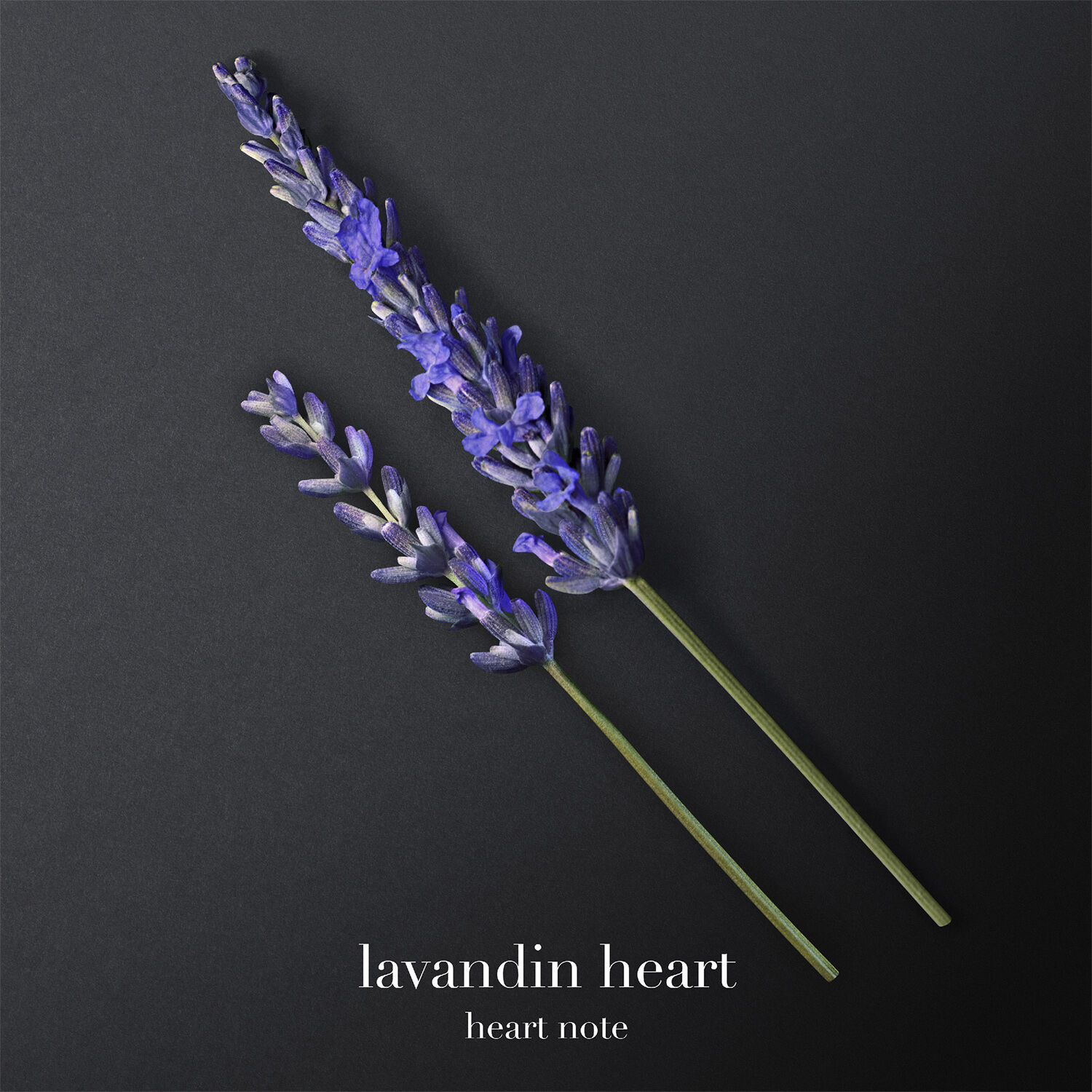 Armani Code Eau de Toilette 200ml