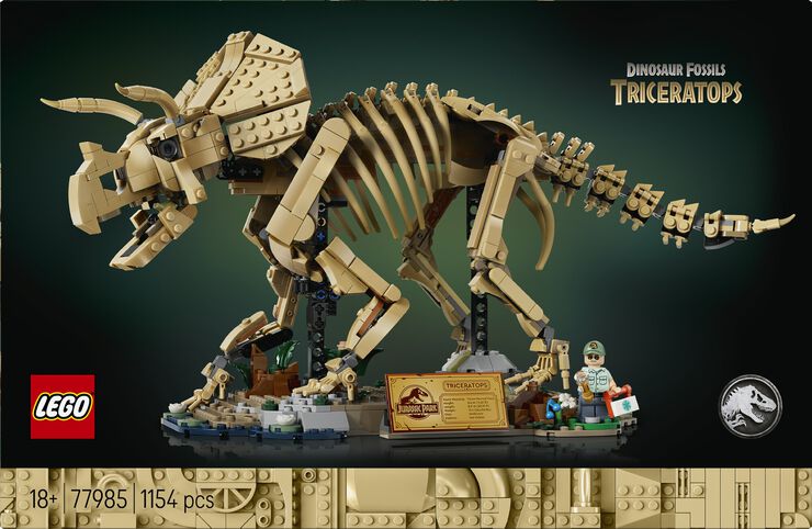 Dinosaurfossiler - Triceratops 77985