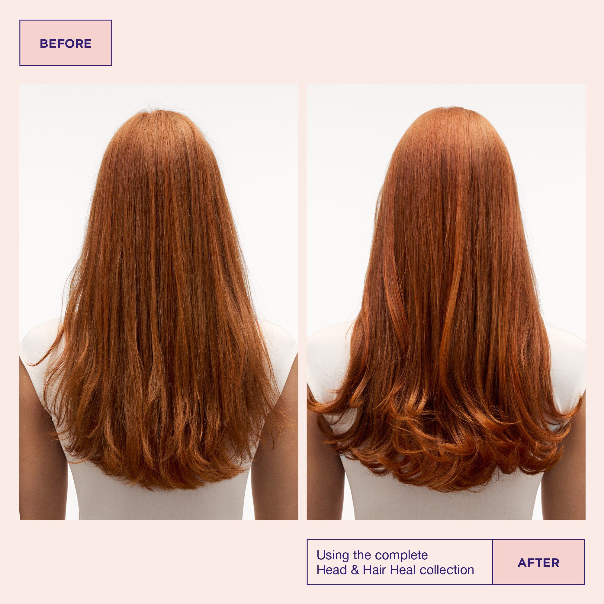 Head & Hair Heal Shampoo 100ml