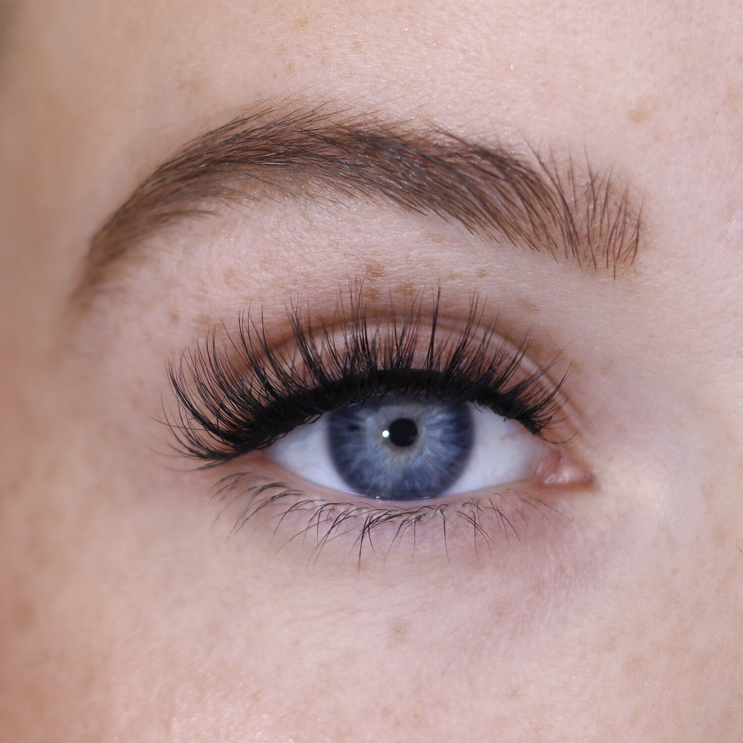 No Drama - Nude Lash Collection