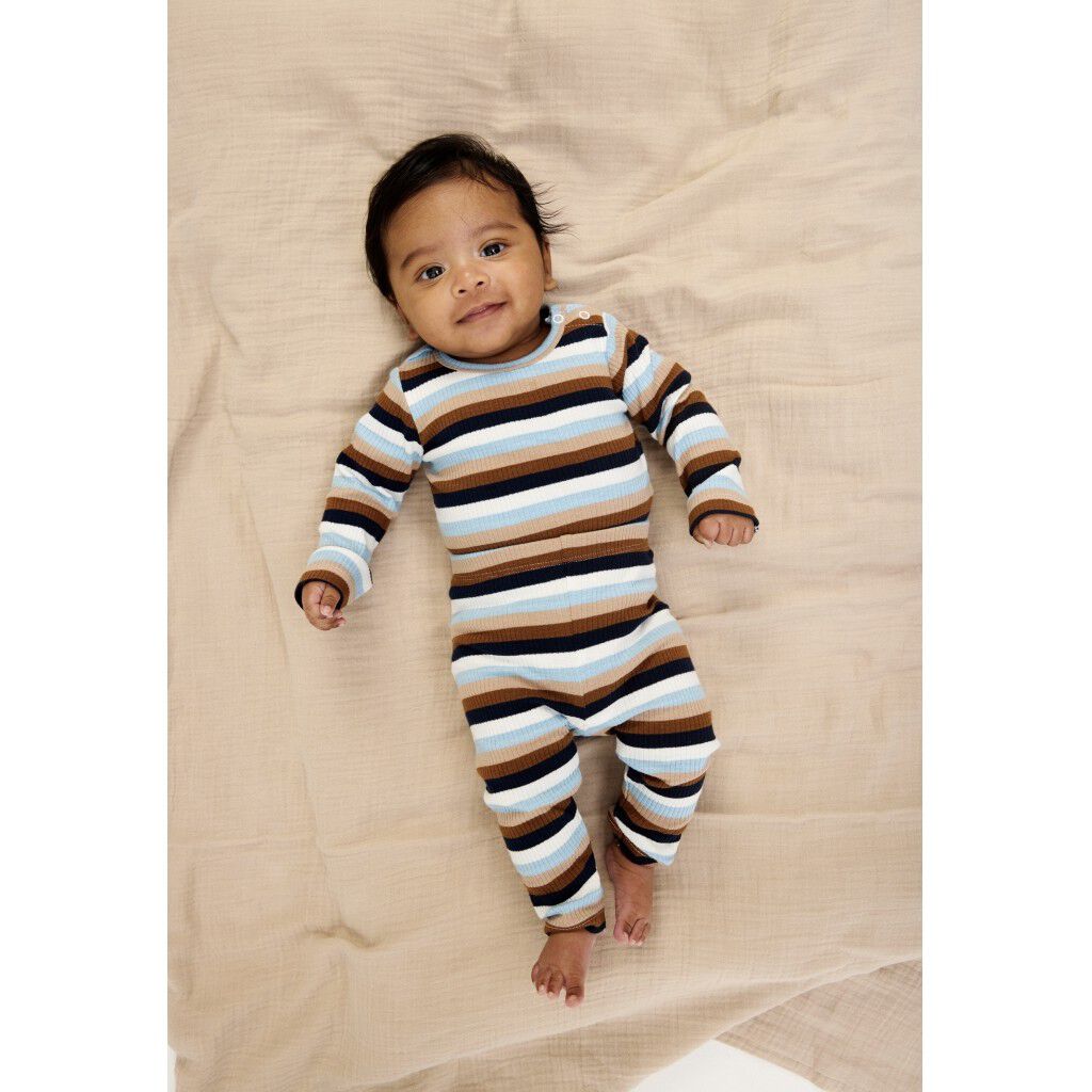 TNSBPark L_S Rib Body