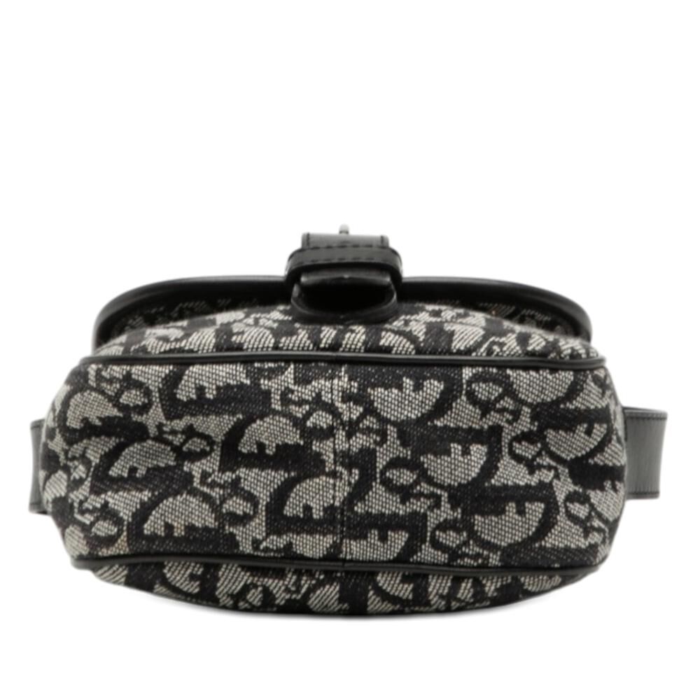 Dior Crossbody Bag