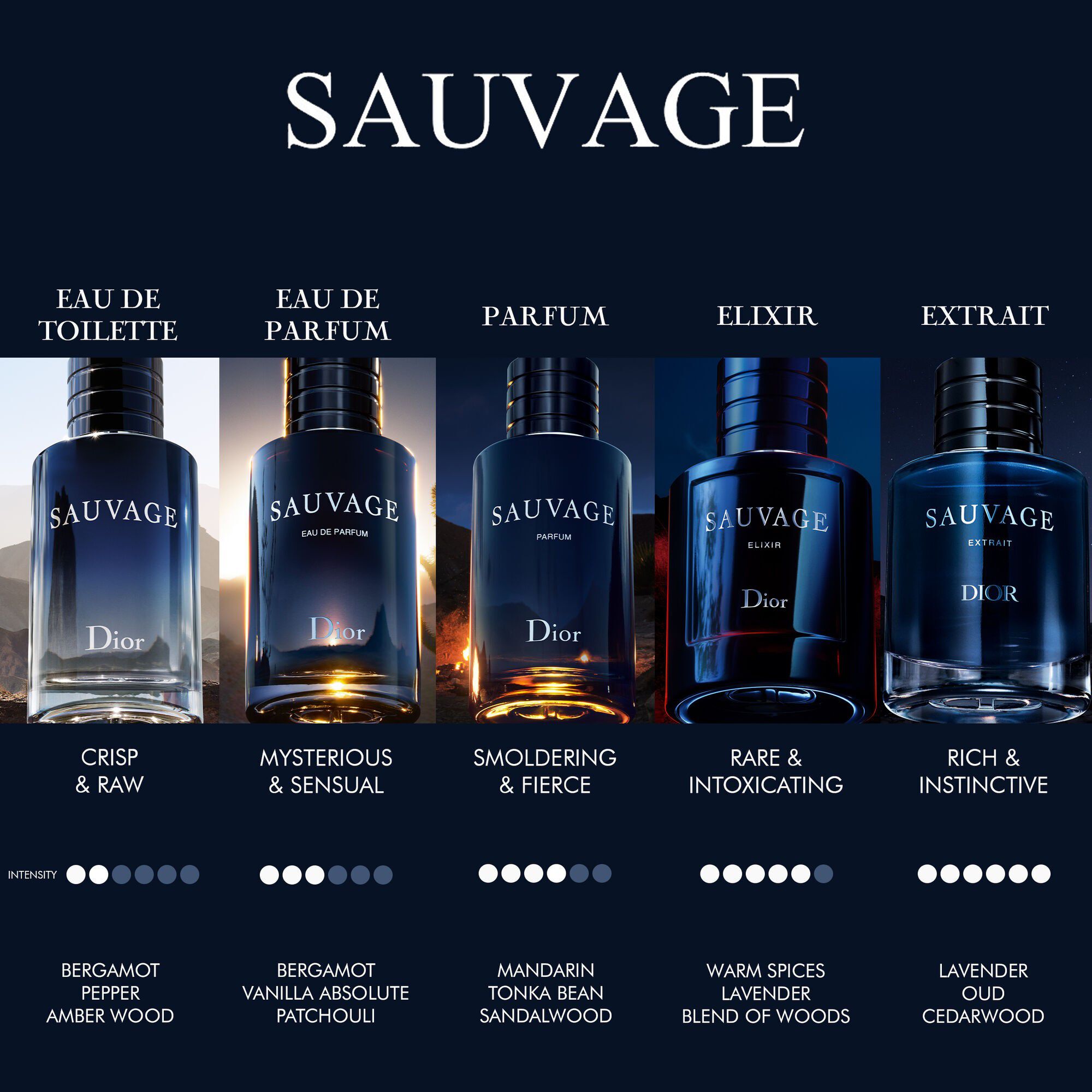 Sauvage Extrait