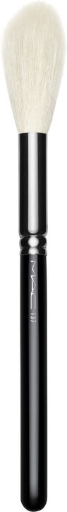 Brushes - 137S Long Blending