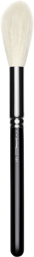 Brushes - 137S Long Blending