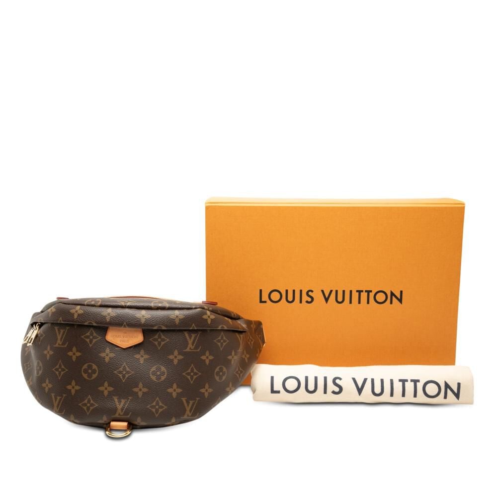Louis Vuitton Bumbag