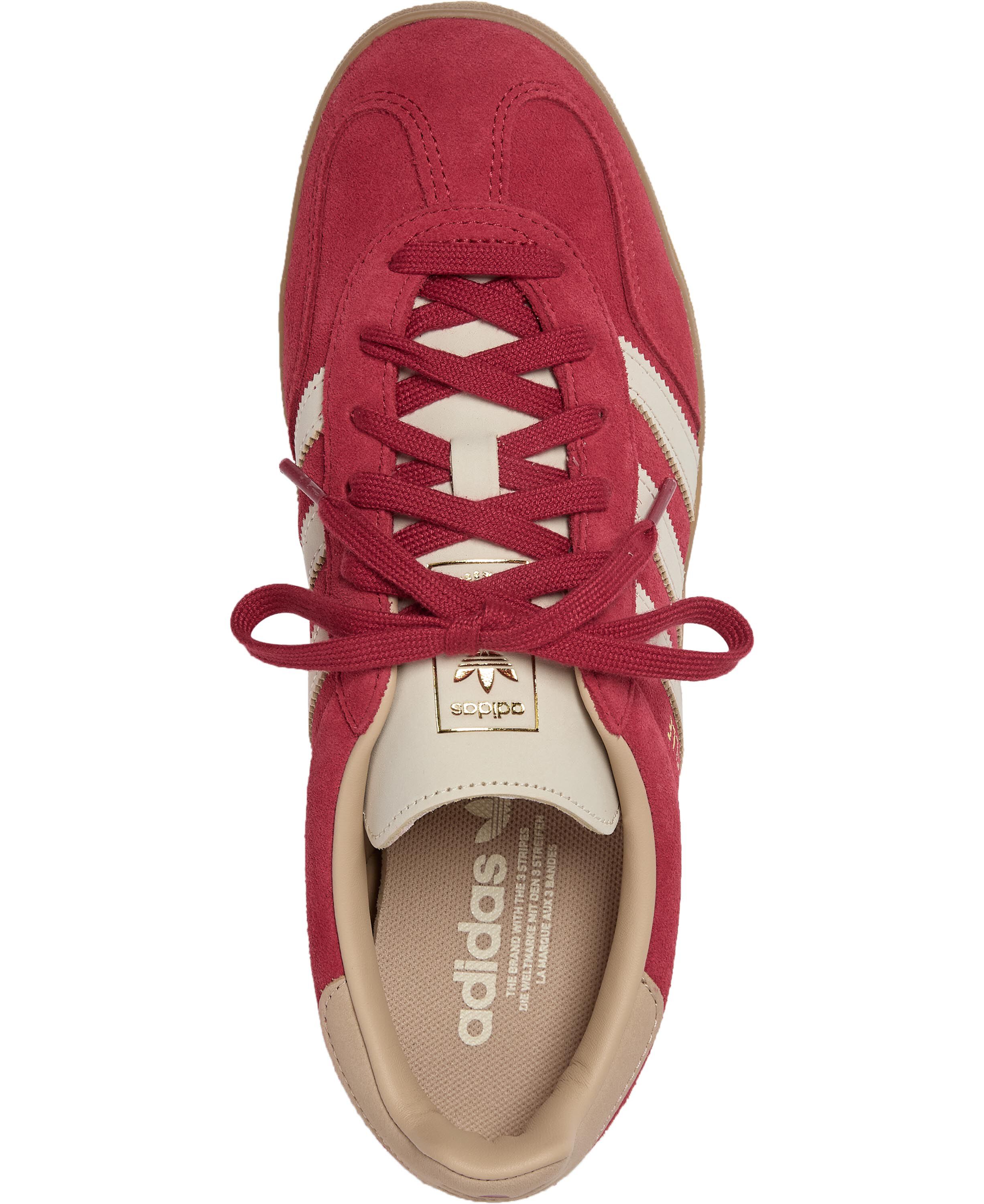 GAZELLE INDOOR