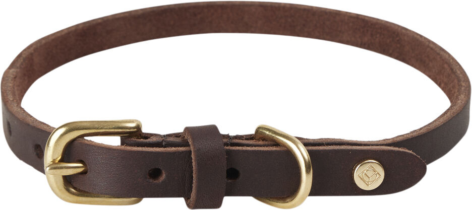 Robin Hundehalsb&aring;nd - Stor