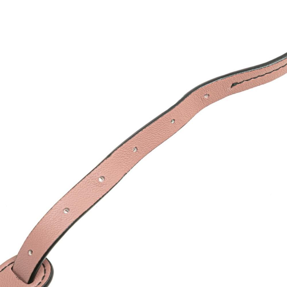 Bottega Veneta Crossbody Bag