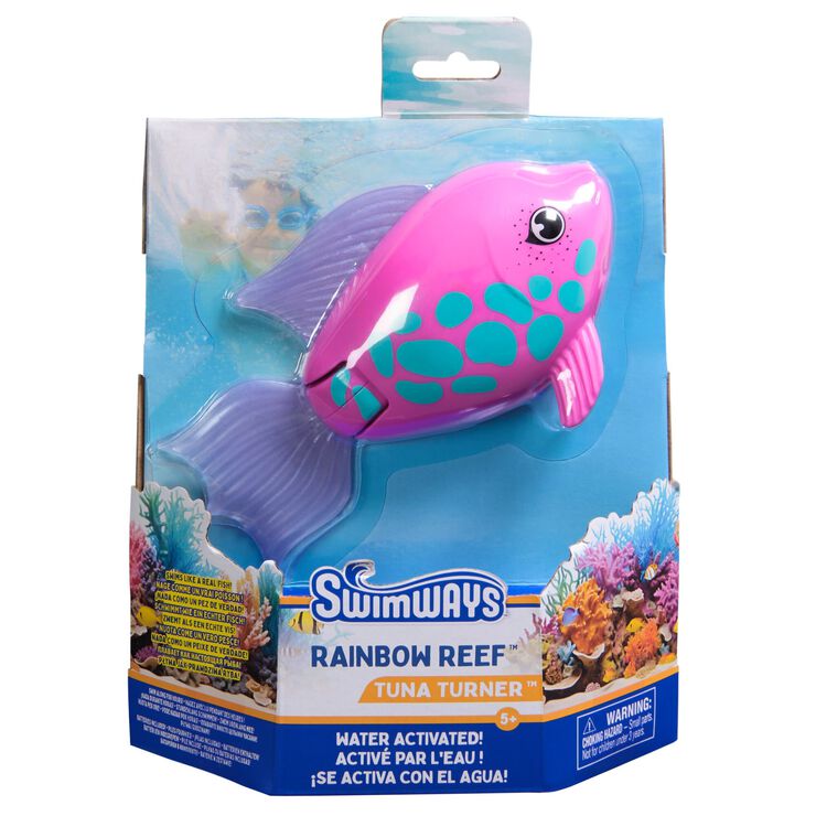 Rainbow Reef Fish - Rainb