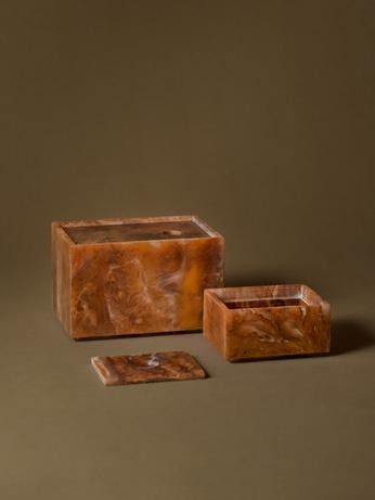 Mist Box - 10 x 15 - Sugar Kelp