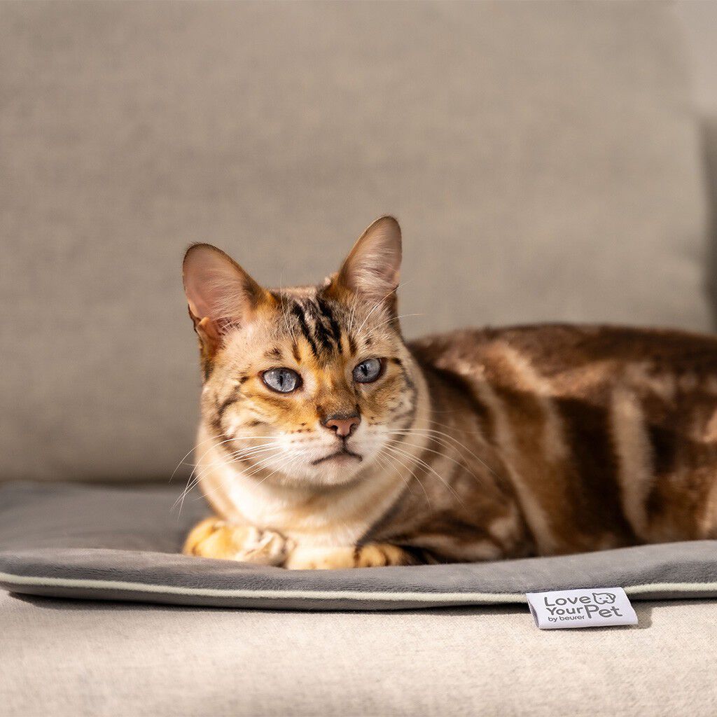 PetCare PP 210 Lilli V&auml;rmematta f&ouml;r husdjur 41x34 cm