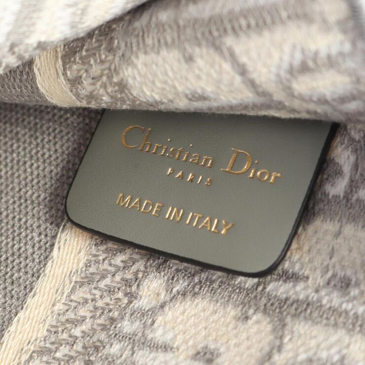 Dior Book Tote